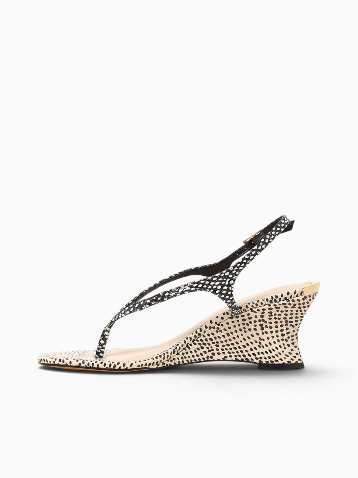 Dalma Black Panacota eco snake dots Black / 5 / M