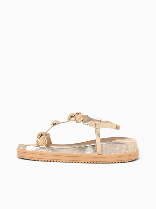 Cyd Champagne Metal Champagne / 5 / M