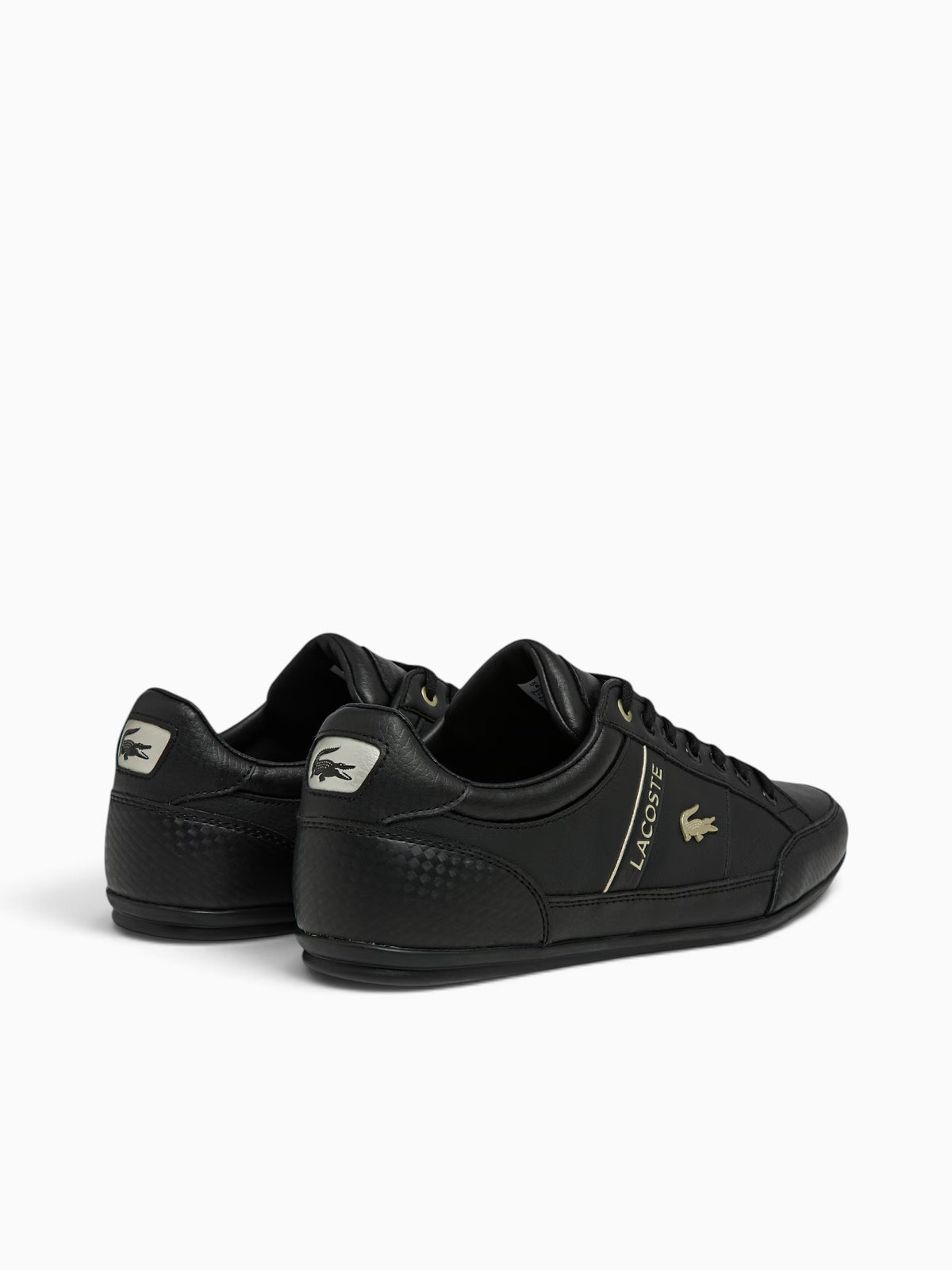 Chaymon Blk Gold leather Black / 8 / M