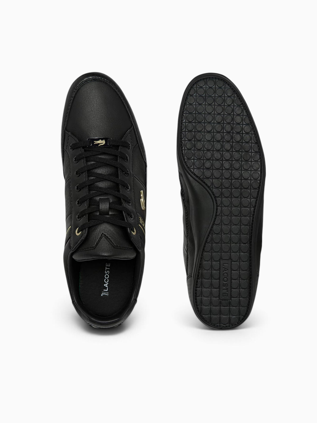 Chaymon Blk Gold leather Black / 8 / M