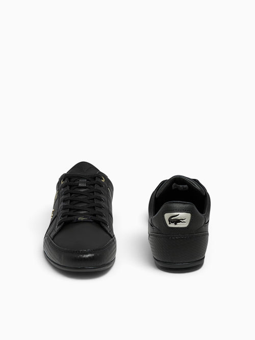 Chaymon Blk Gold leather Black / 8 / M