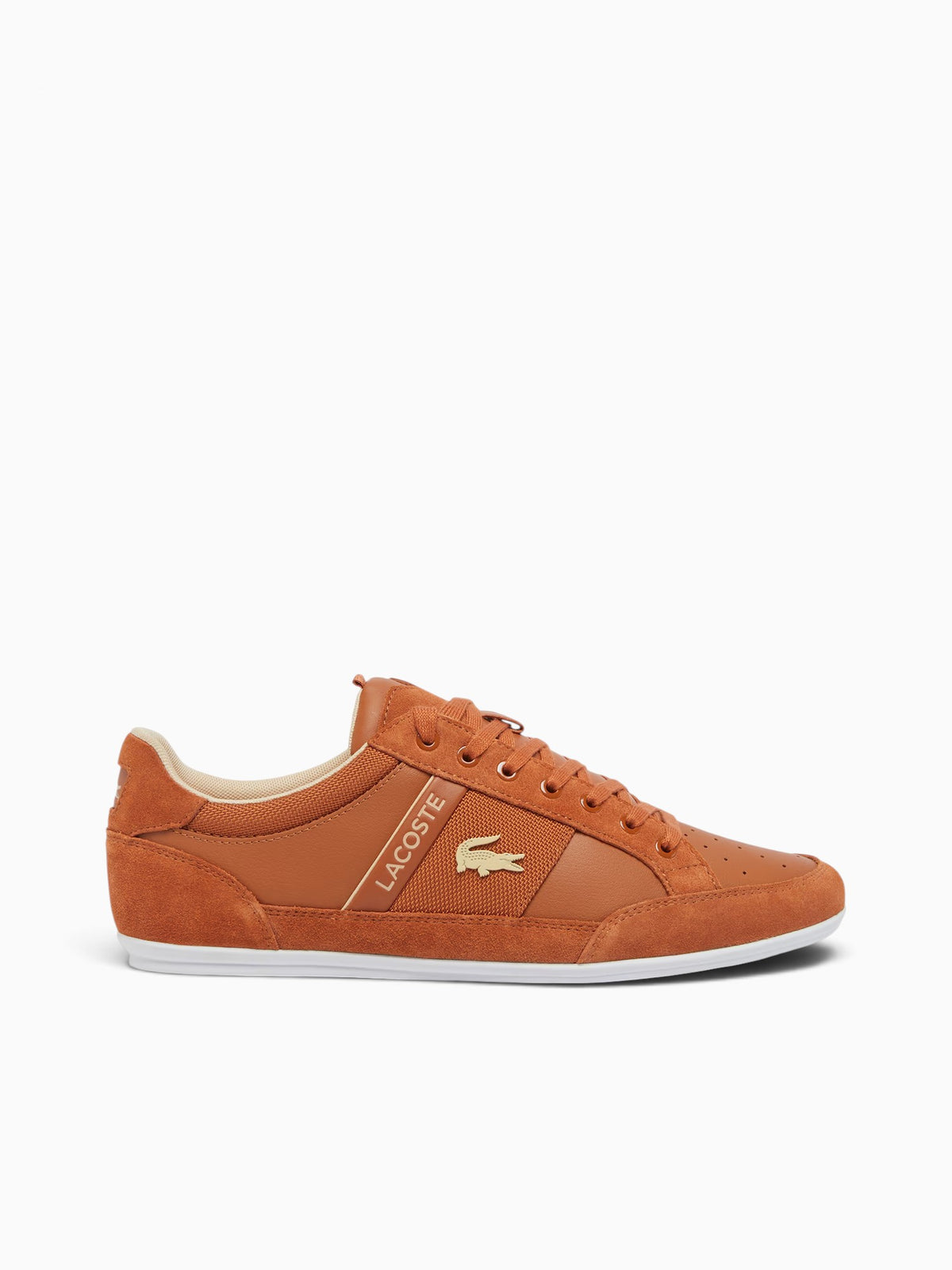 Chaymon Brw Wht leather Brown / 8 / M