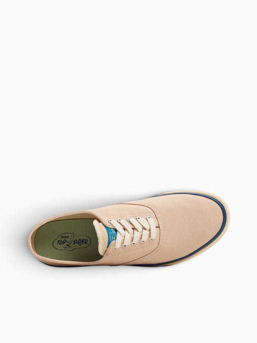 Classiccvo Bone Textile Other / 6 / M